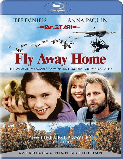Fly Away Home 1996 720p BluRay x264 Eng Subs Dual Audio Hindi DD 2 0 English 2 0 Exclusive By Dr STAR